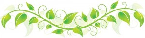 vine